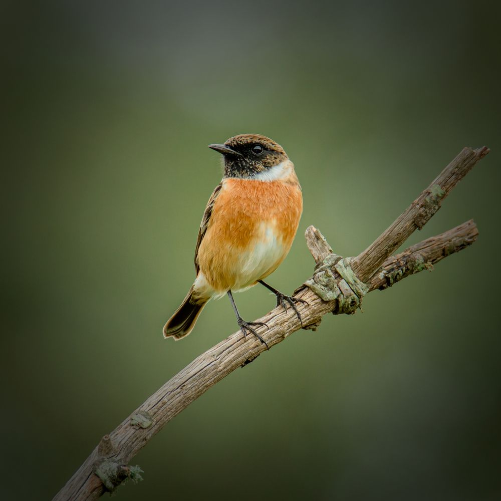 Photograph by Paulo Machado