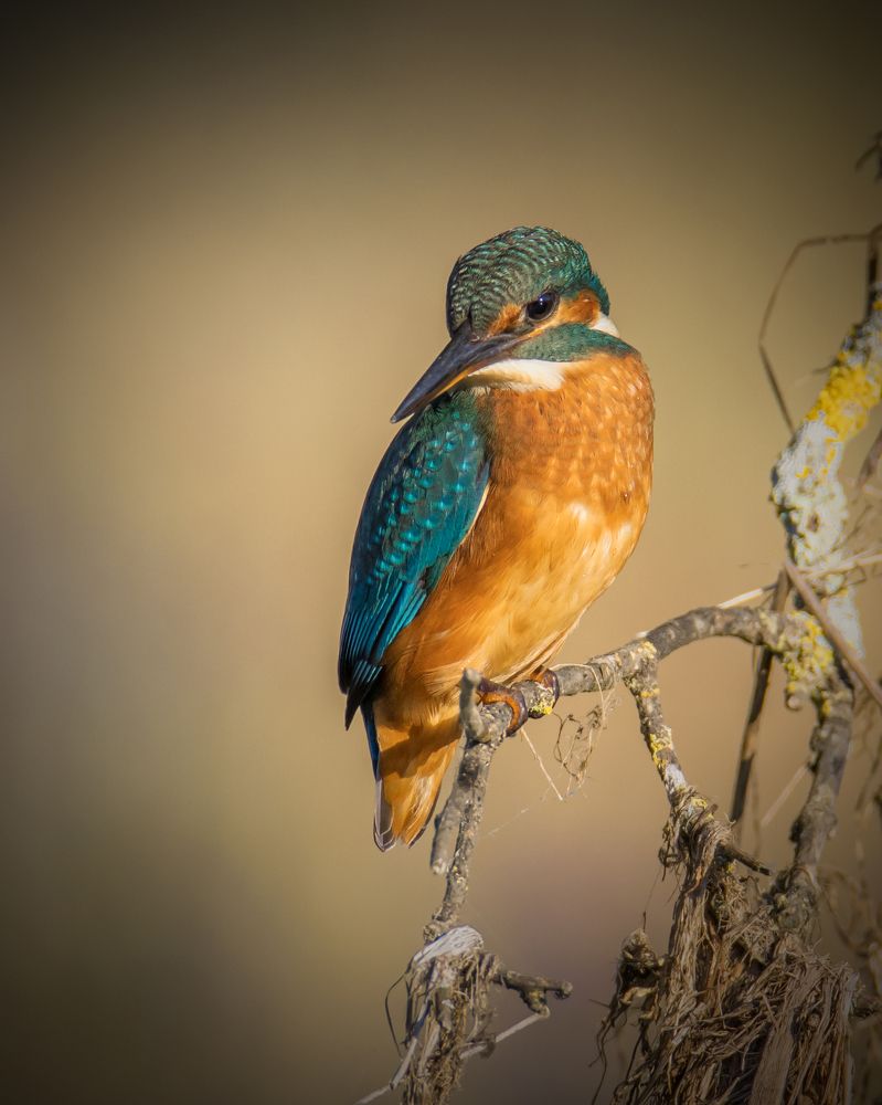 Photograph by Paulo Machado