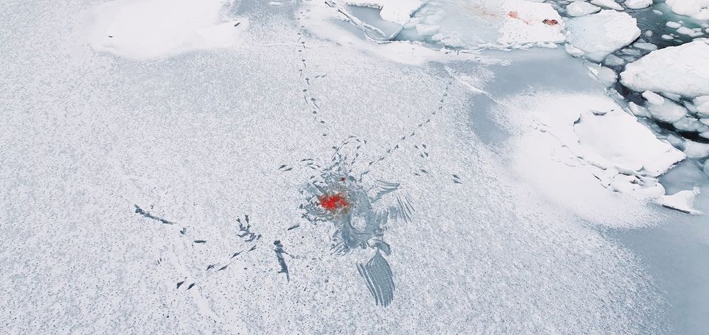 Photograph by Elisabeth Vinther