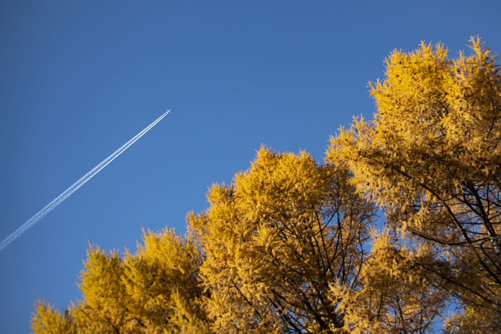 Фотография автора Дмитрий Войнов