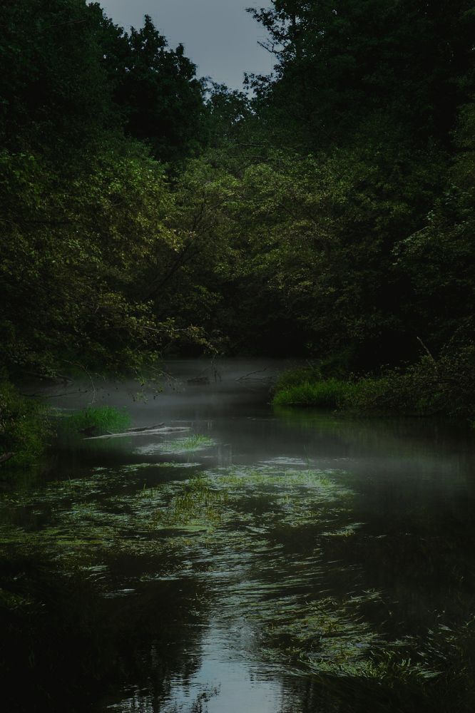 Photograph by Ангелина Карелина