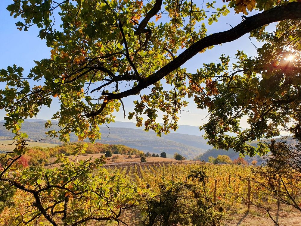 Photograph by Виктория Сметанина