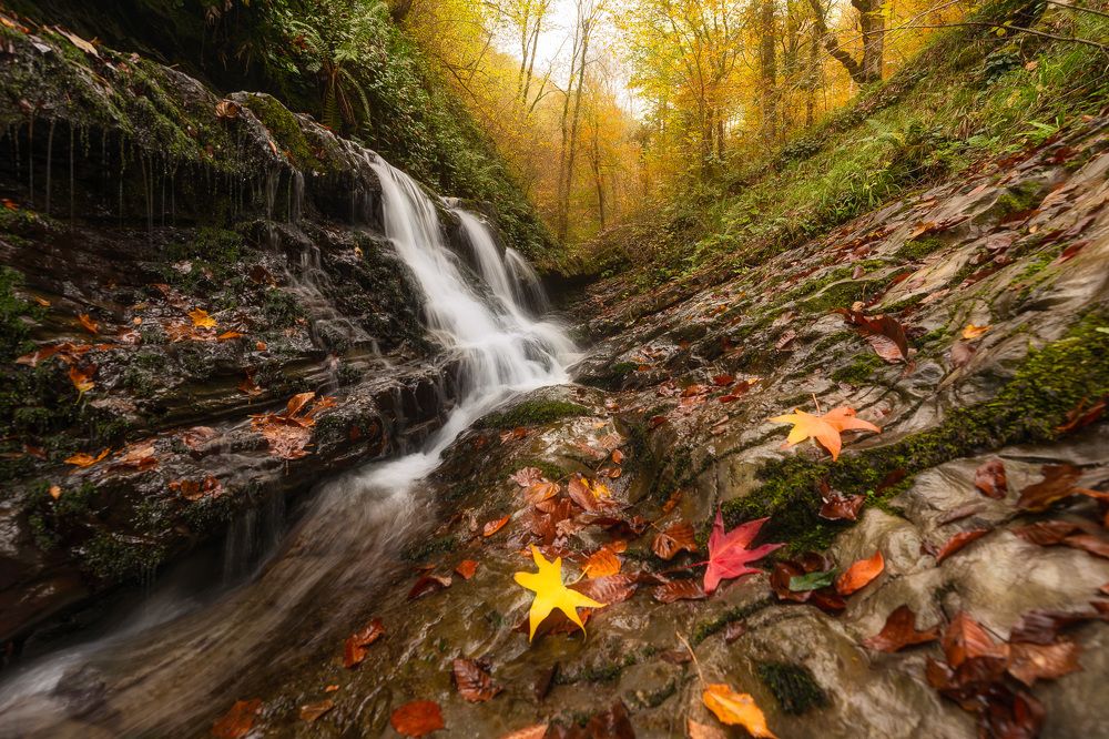 Photograph by Сергей Шабанов