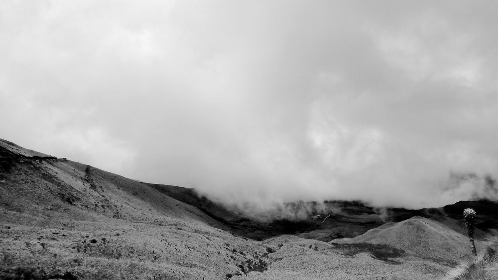 Photograph by Maria de los Angeles Osorio