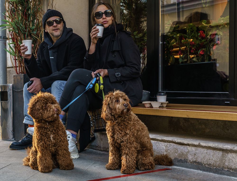 can' t believe my eyes ... I must be dreaming!