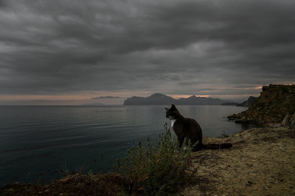 Фотография автора Александра Елагина