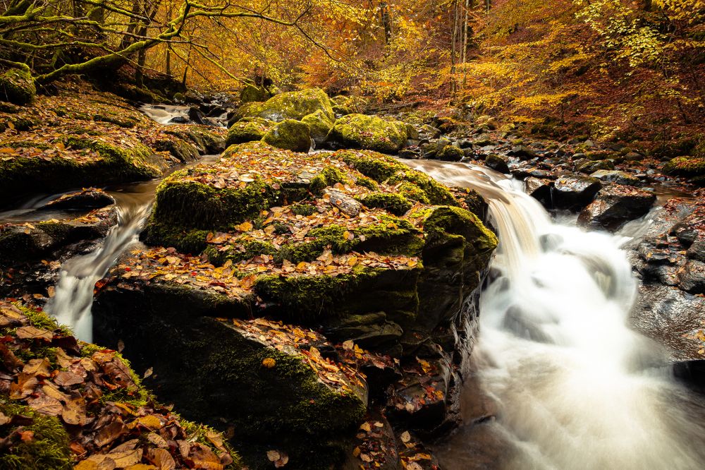 Photograph by Bartosz Milewski