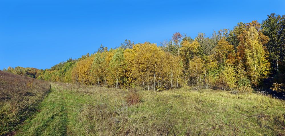 Фотография автора Віктор Тарасенко