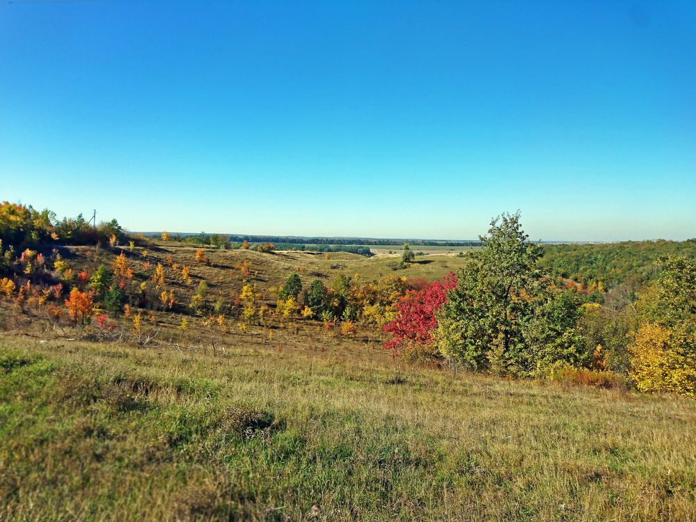 Photo #6743007