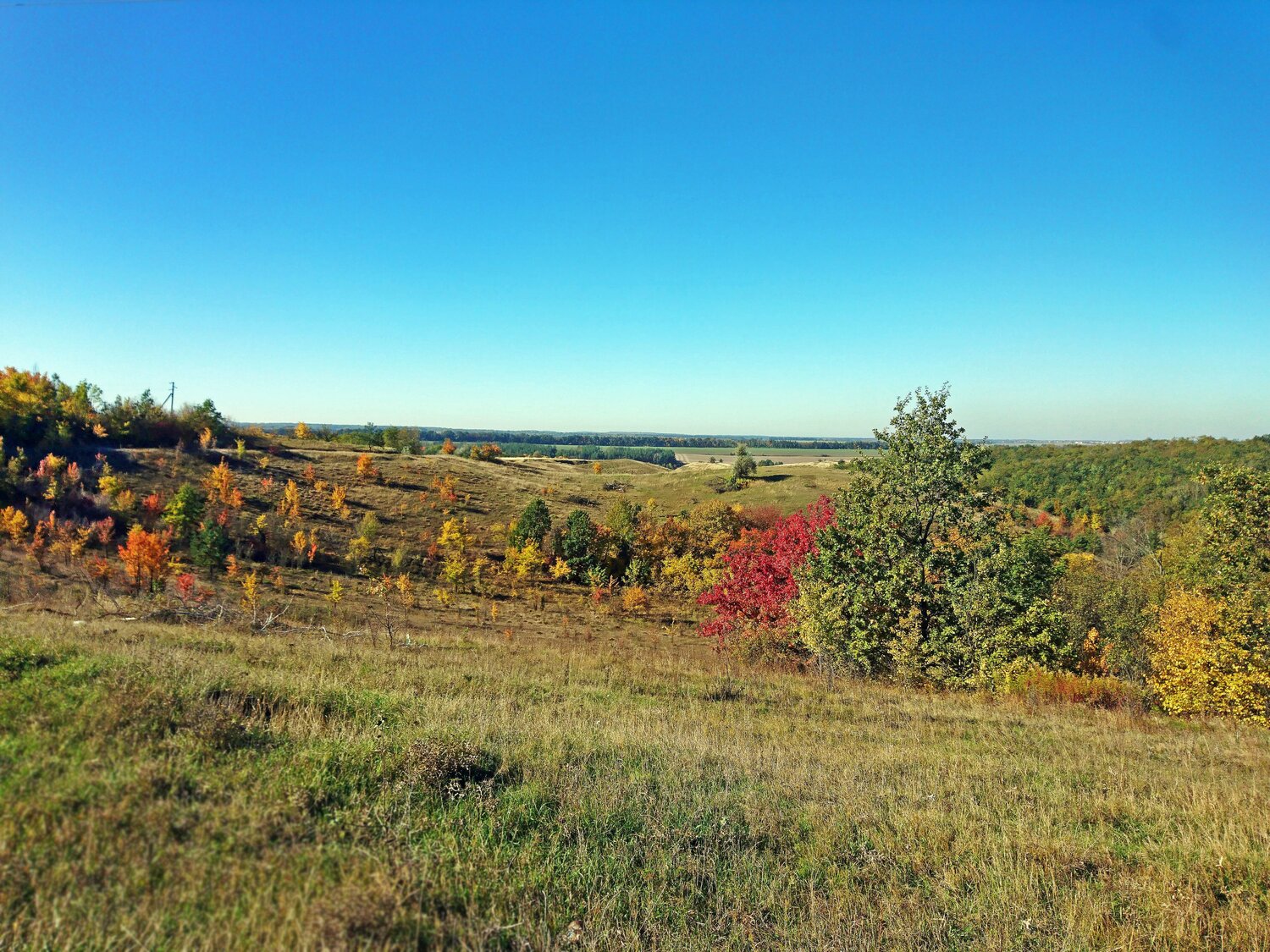 Photo #6743007