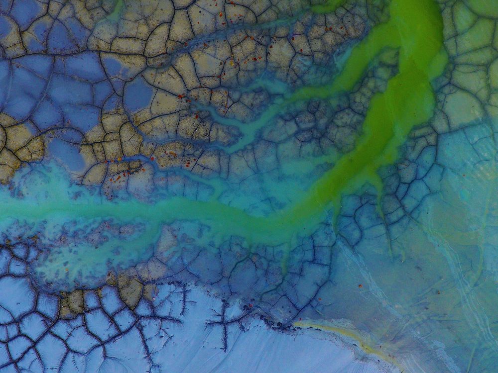 Фотография автора Alexandru Popescu