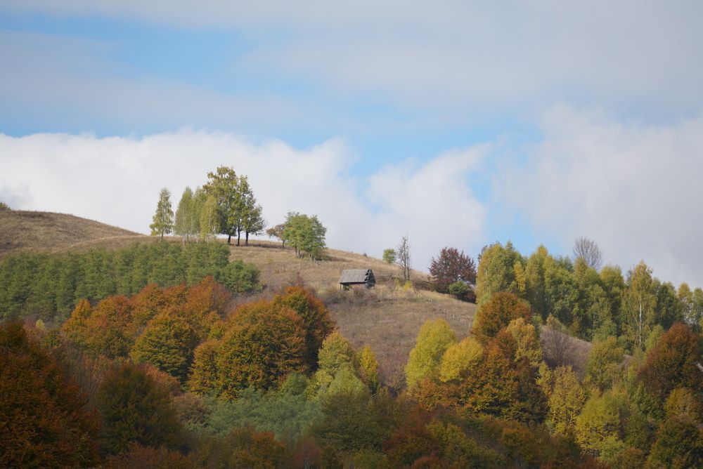 Фотография автора Alexandru Popescu