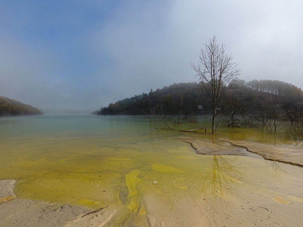 Фотография автора Alexandru Popescu