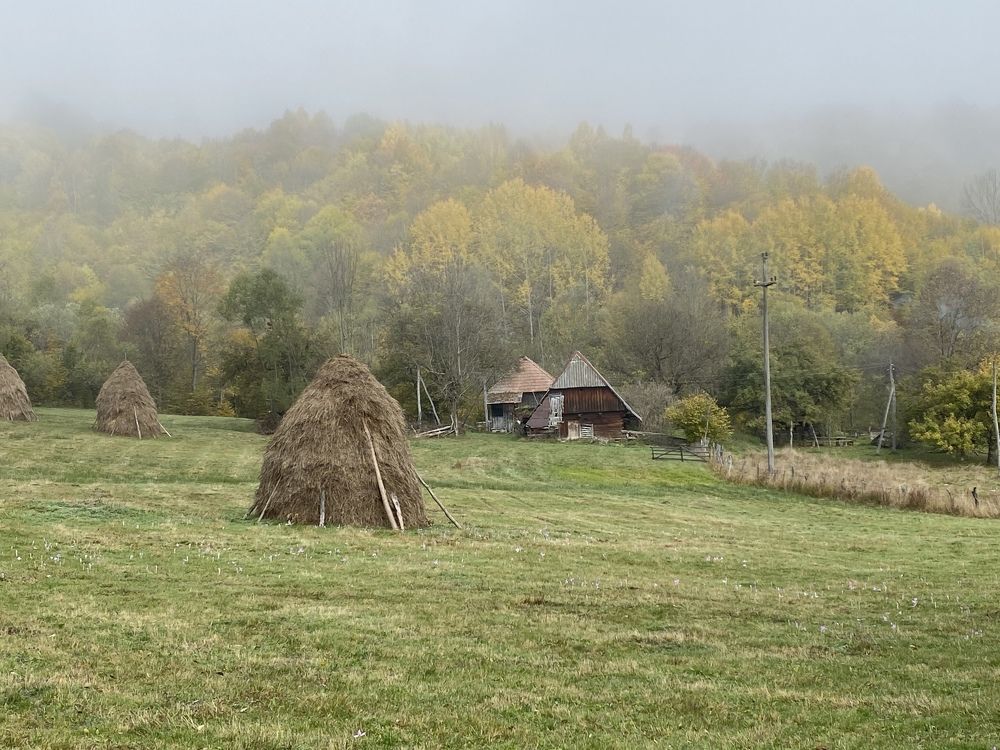 Фотография автора Alexandru Popescu