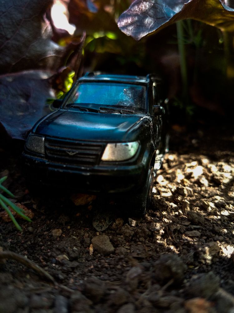 Photograph by Александра Лукашевич