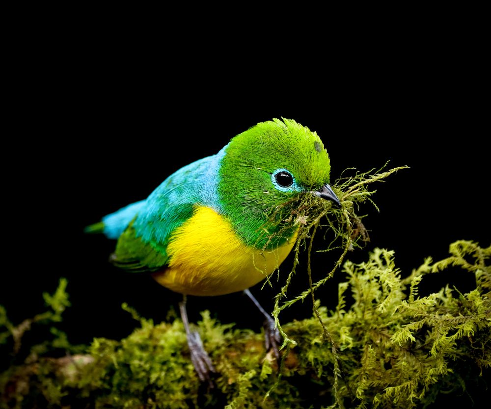 Photograph by Heiler