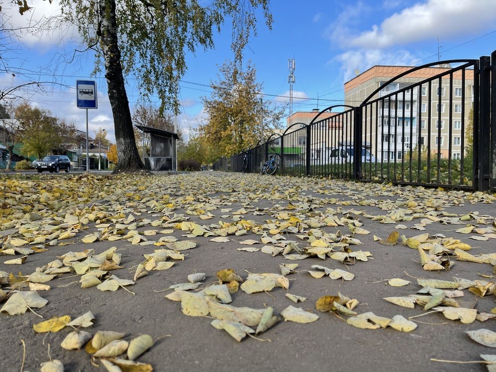 Photograph by Григорий Лыжин