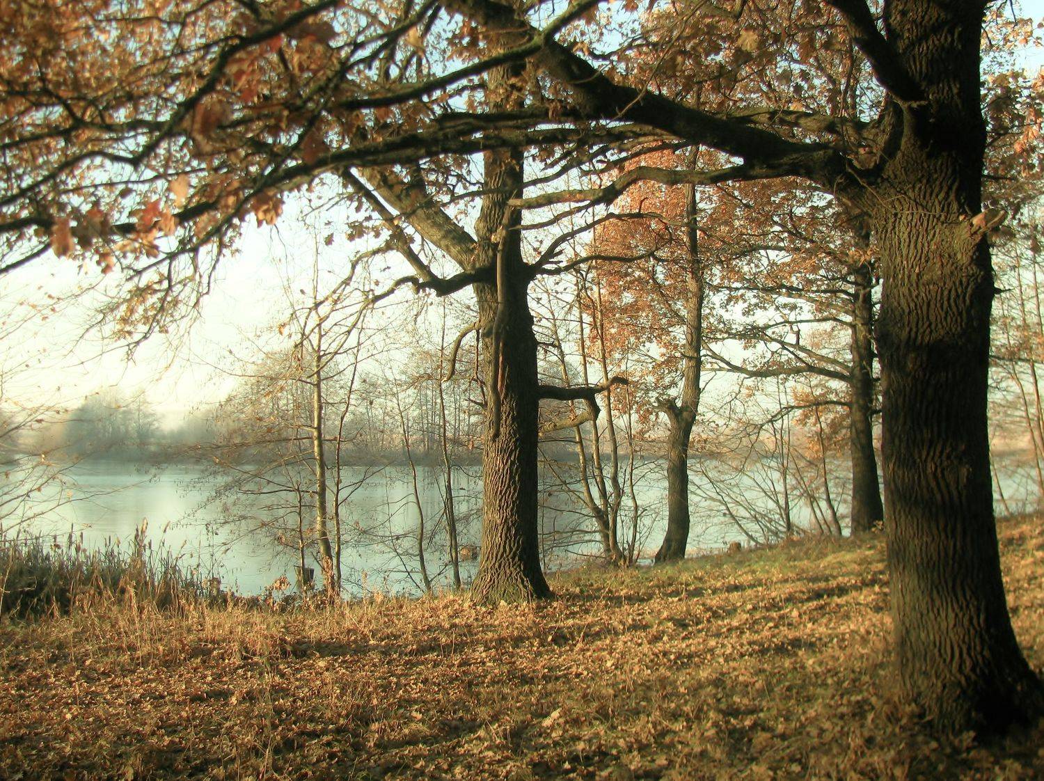 Photo #6743171