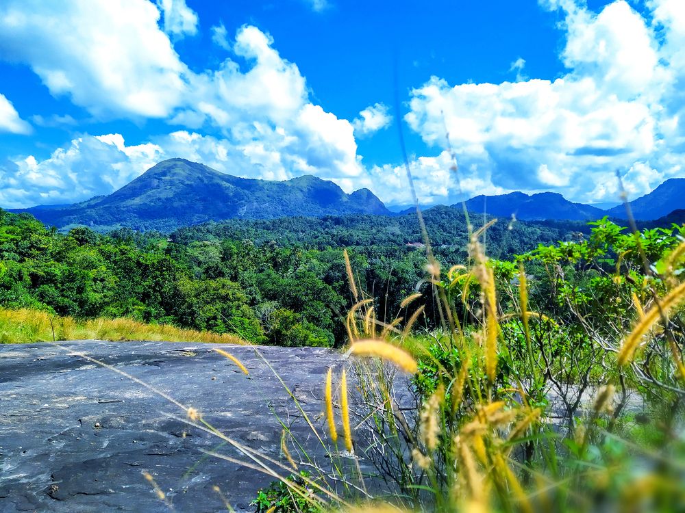 Photograph by Thisaru Dharmasri