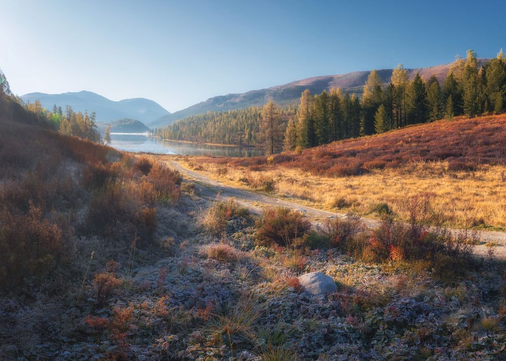 Photograph by Елена Михеенко