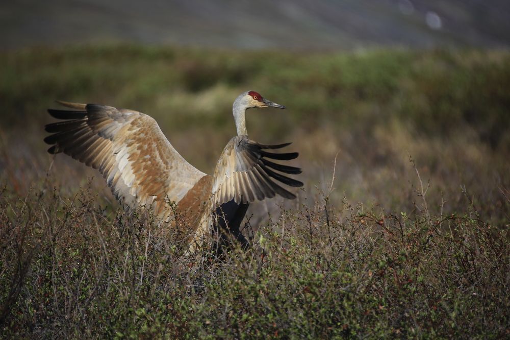 Photograph by Денис