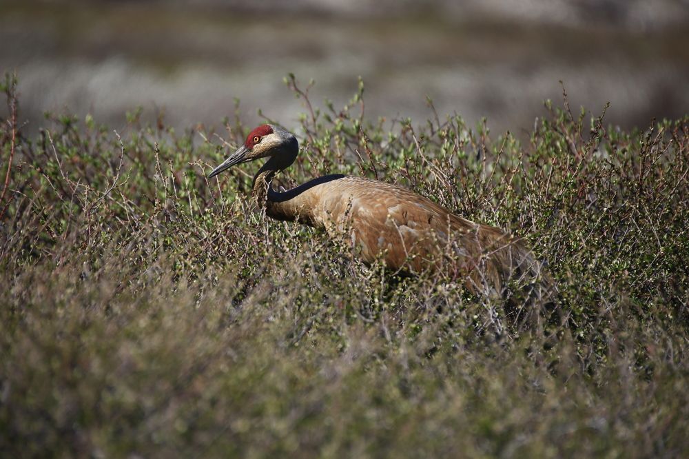 Photograph by Денис