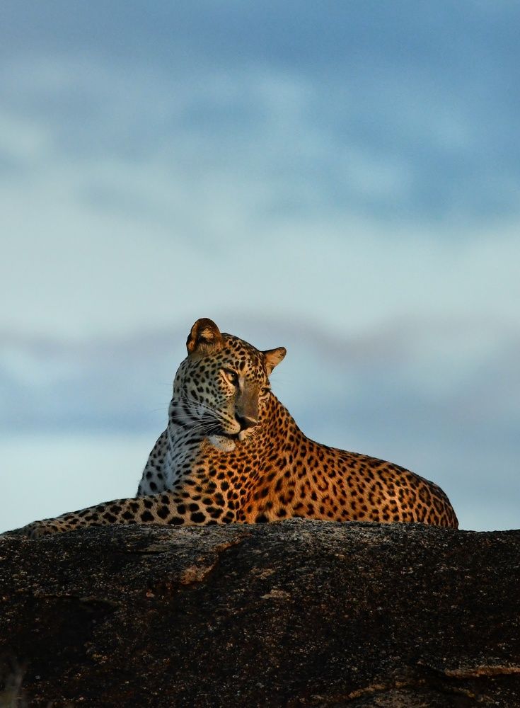 Photograph by Dinasha Alles