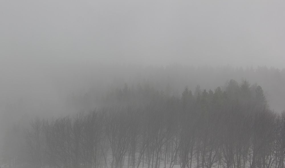 Photograph by Anna Gapanovich