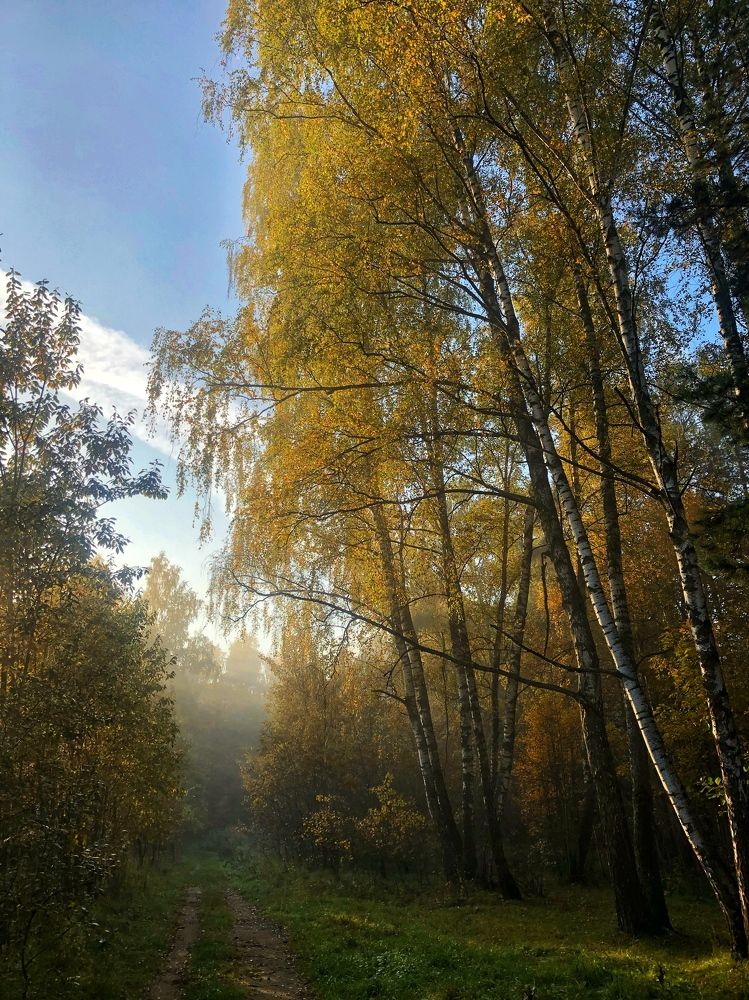Photograph by Elena Starodvorskaya