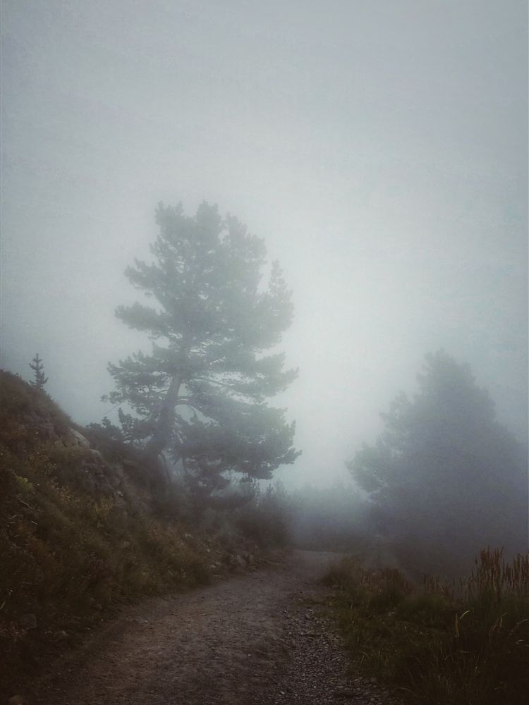 Photograph by Elena Starodvorskaya