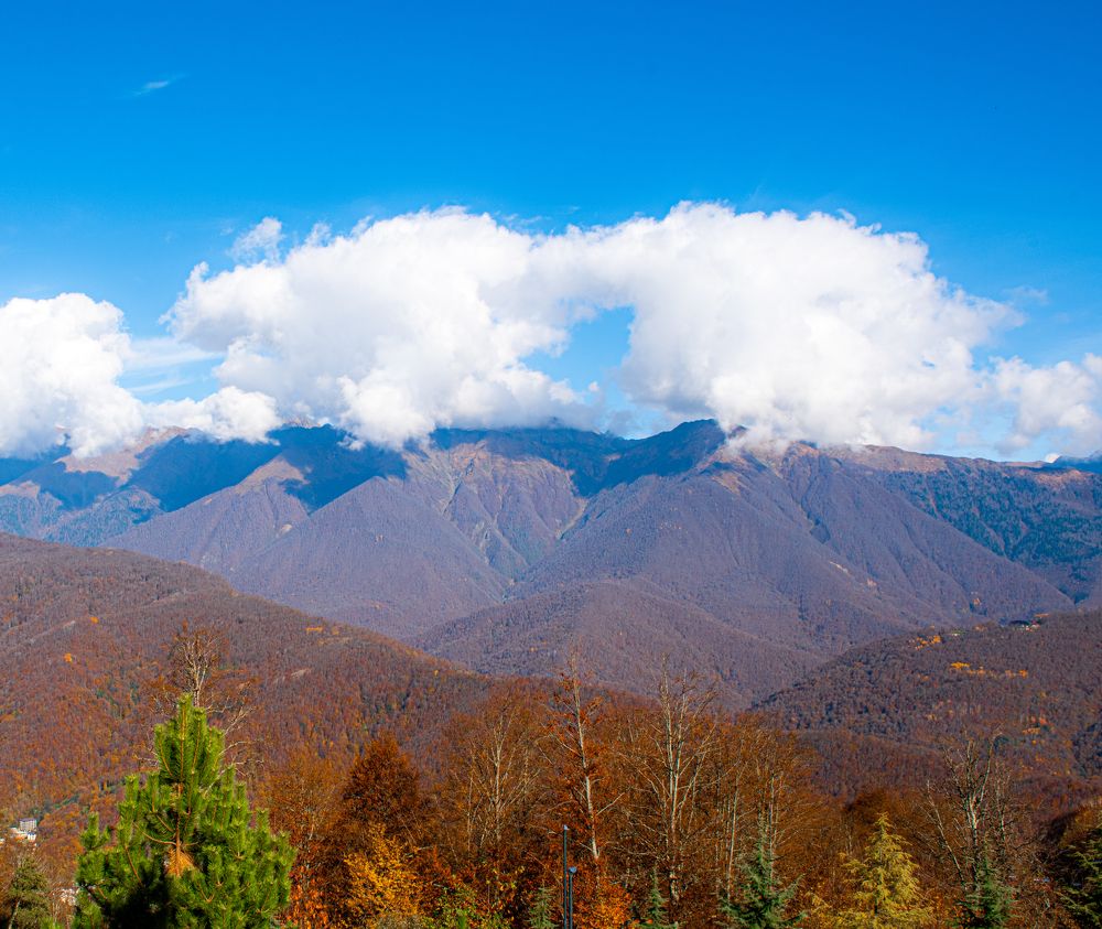 Photograph by Марина Тарасова