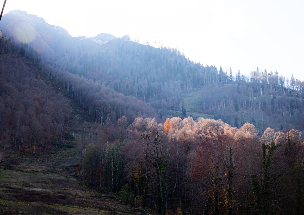 Photograph by Марина Тарасова