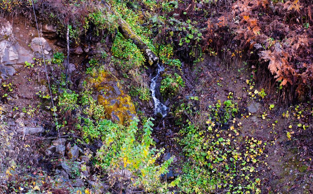 Photograph by Марина Тарасова