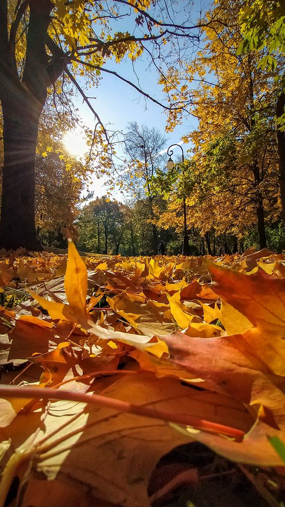 Photograph by Дмитрий Васильев