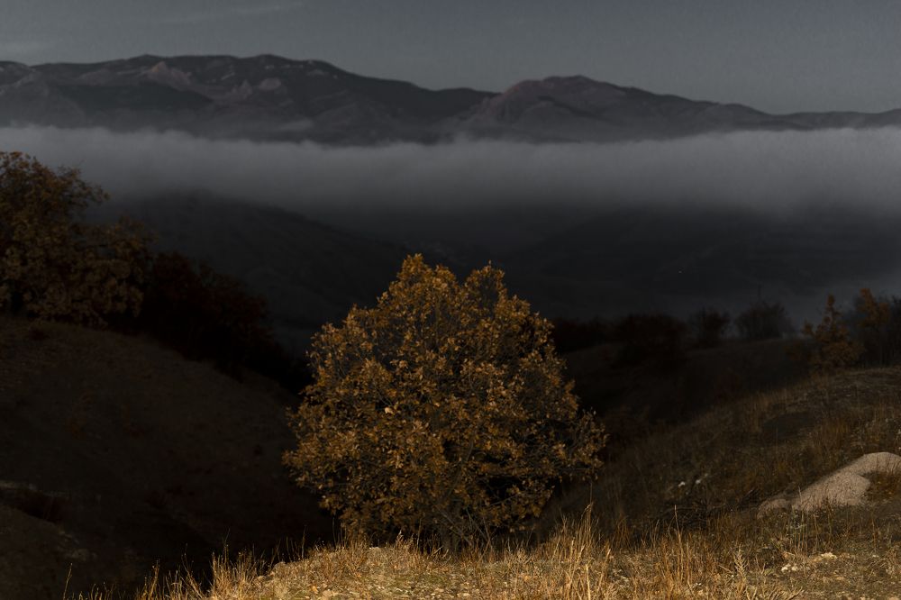 Photograph by Валерий Лейко