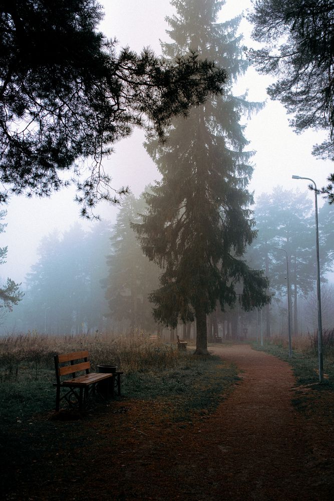 Photograph by Владимир Крышковец