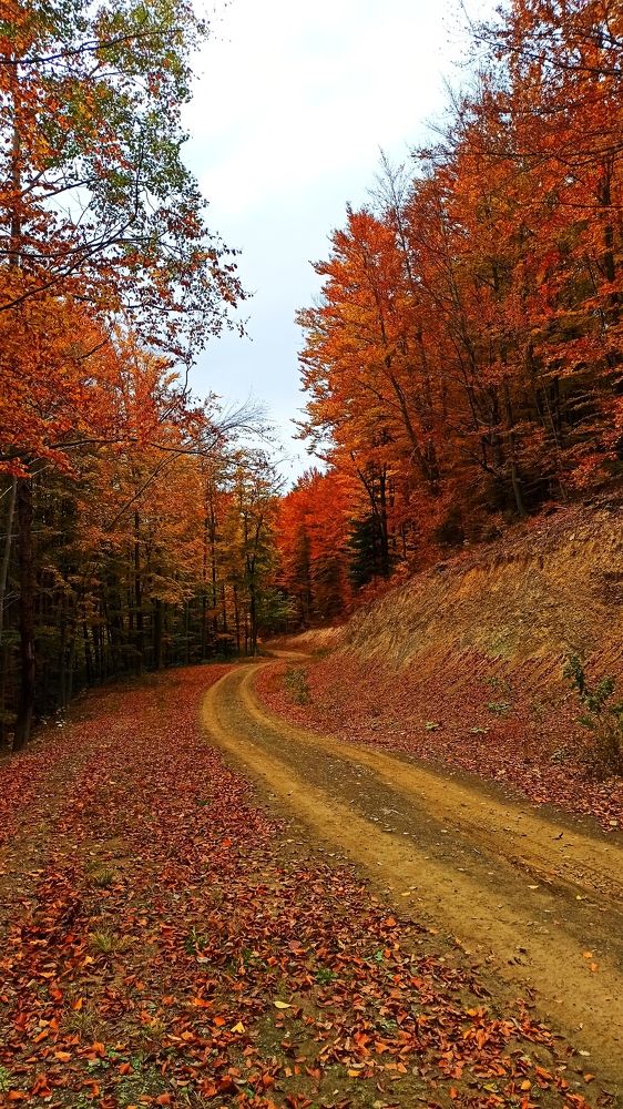 Photograph by Олександр Максимюк