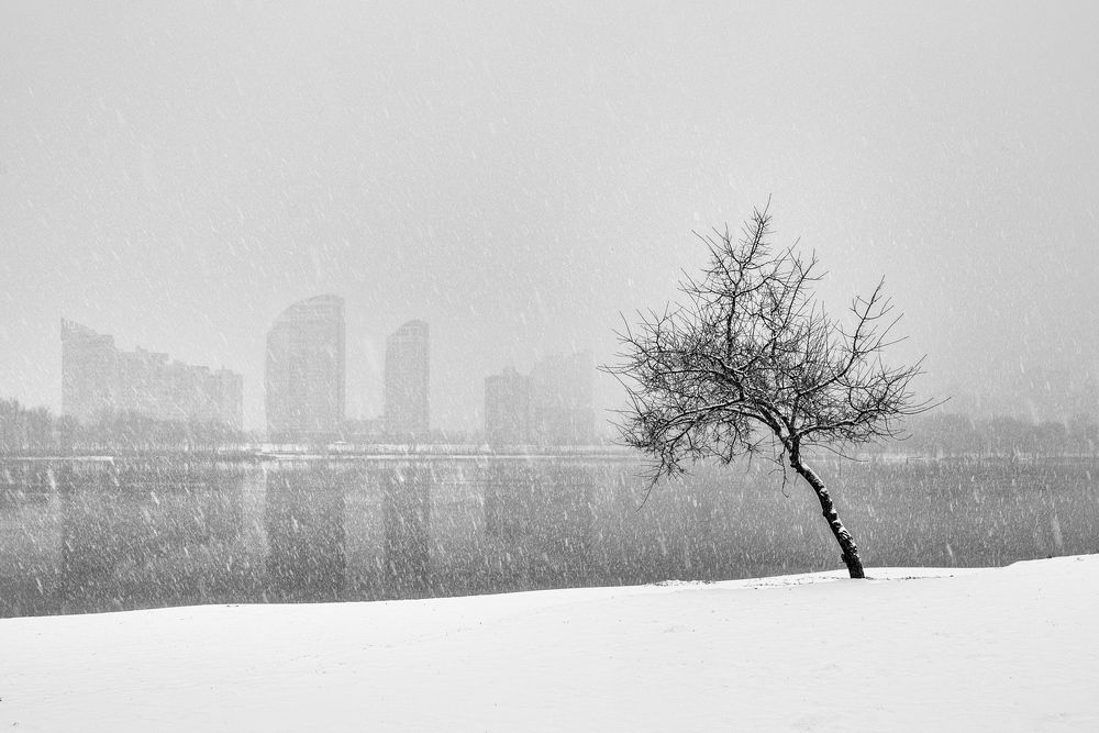 Photograph by Виталий Тимофеев