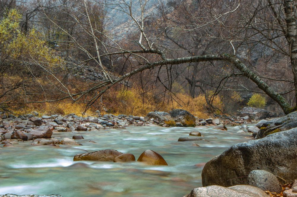 Photograph by Ruslan Ruslan