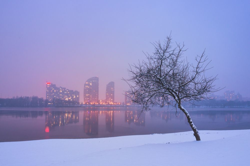 Photograph by Виталий Тимофеев