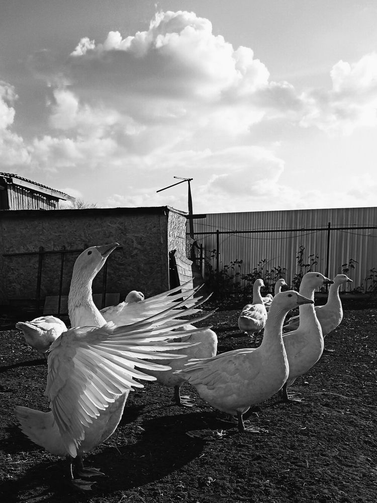 Фотография автора Татьяна Шахова