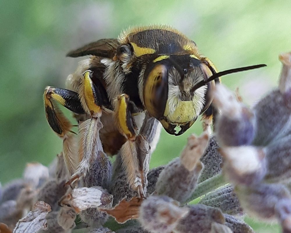 Photograph by Слађана Милојковић