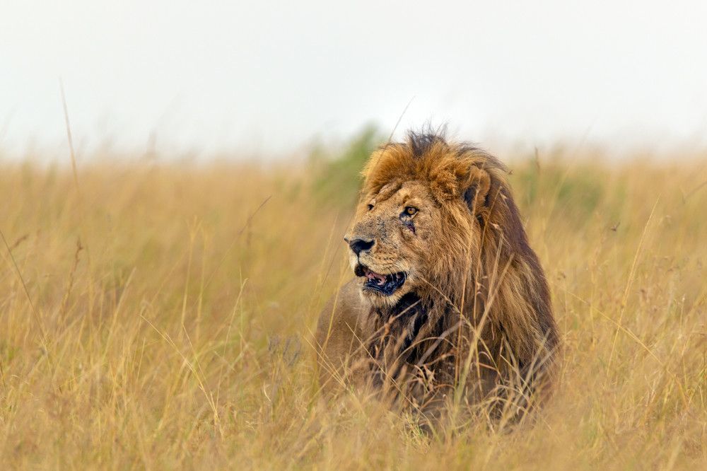 Photograph by Renny Poulose