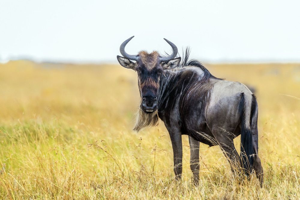 Photograph by Renny Poulose