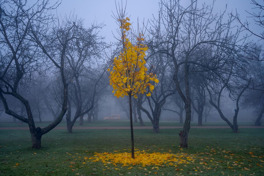 Фотография автора Ivan Kuteynikov