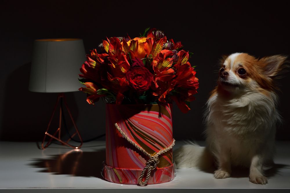 Photograph by Артем Клунко