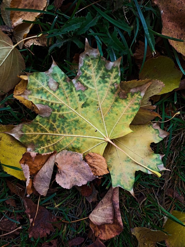 Фотография автора Татьяна Шахова