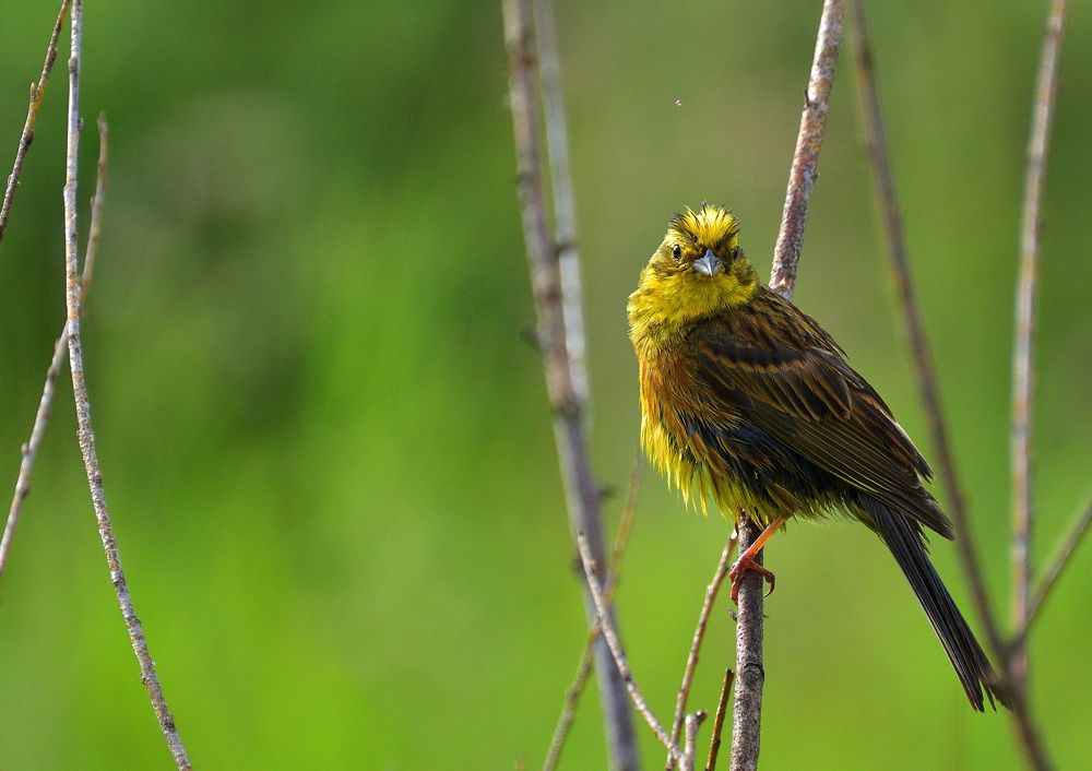 Photograph by Артем Клунко