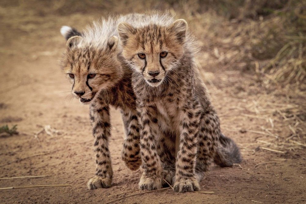 Photograph by NATALIA GOUSSEVA