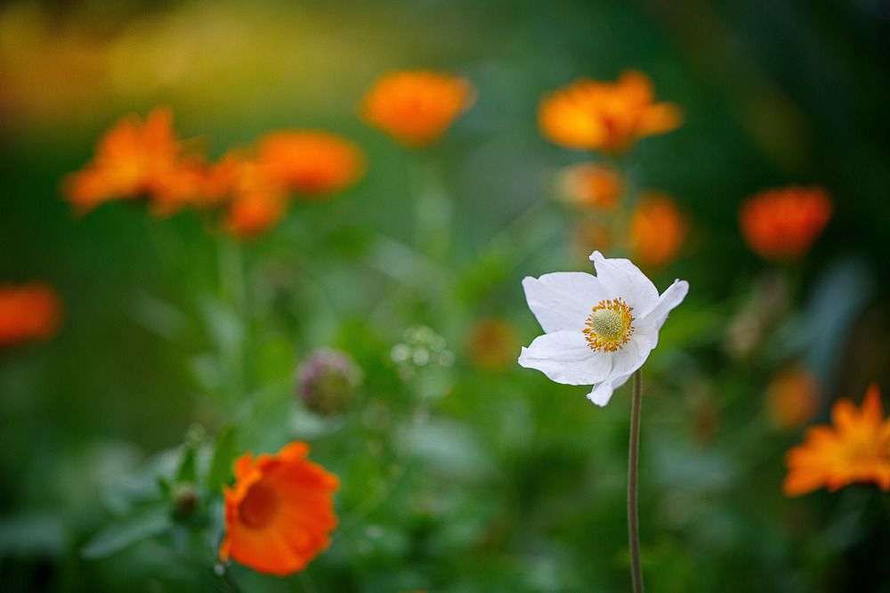 Photograph by Дмитрий Зеленько